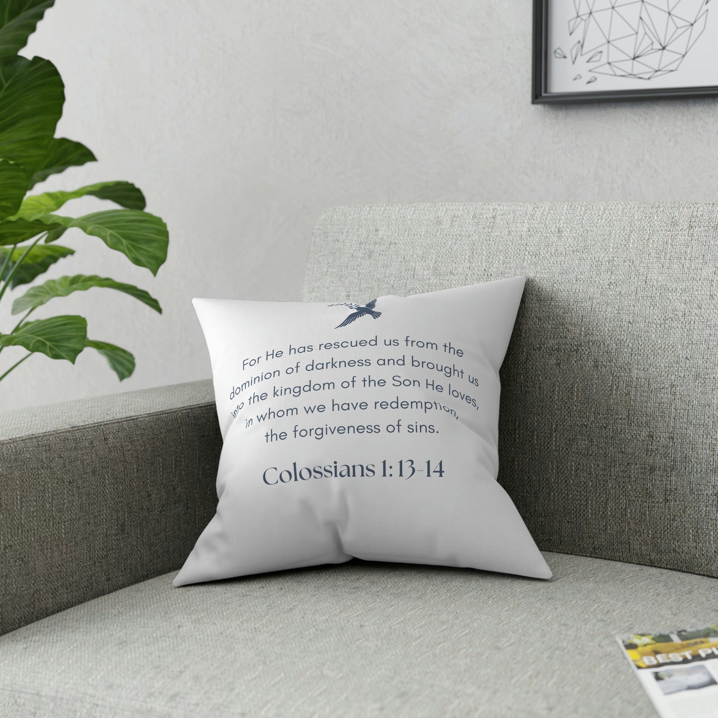 Colossians 1:13-14 Passage Pillow